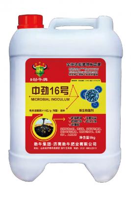 Zhongjin No. 16 microbial inoculant